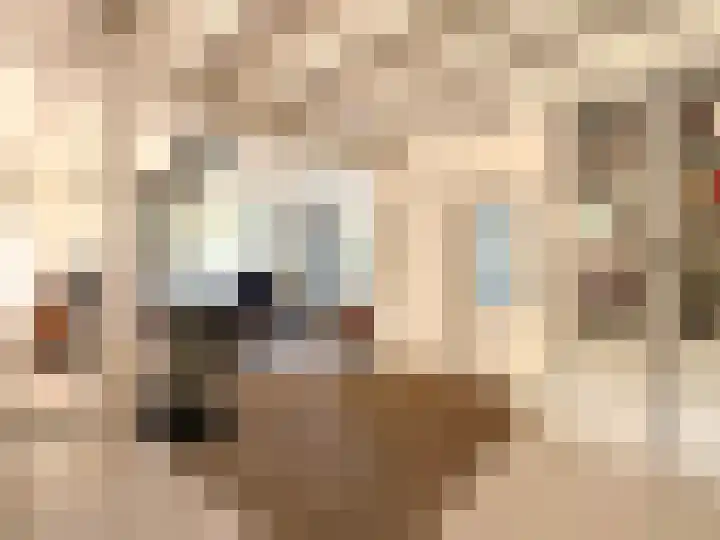 Kortland 2 A Lopikerkapel thumbnail 5