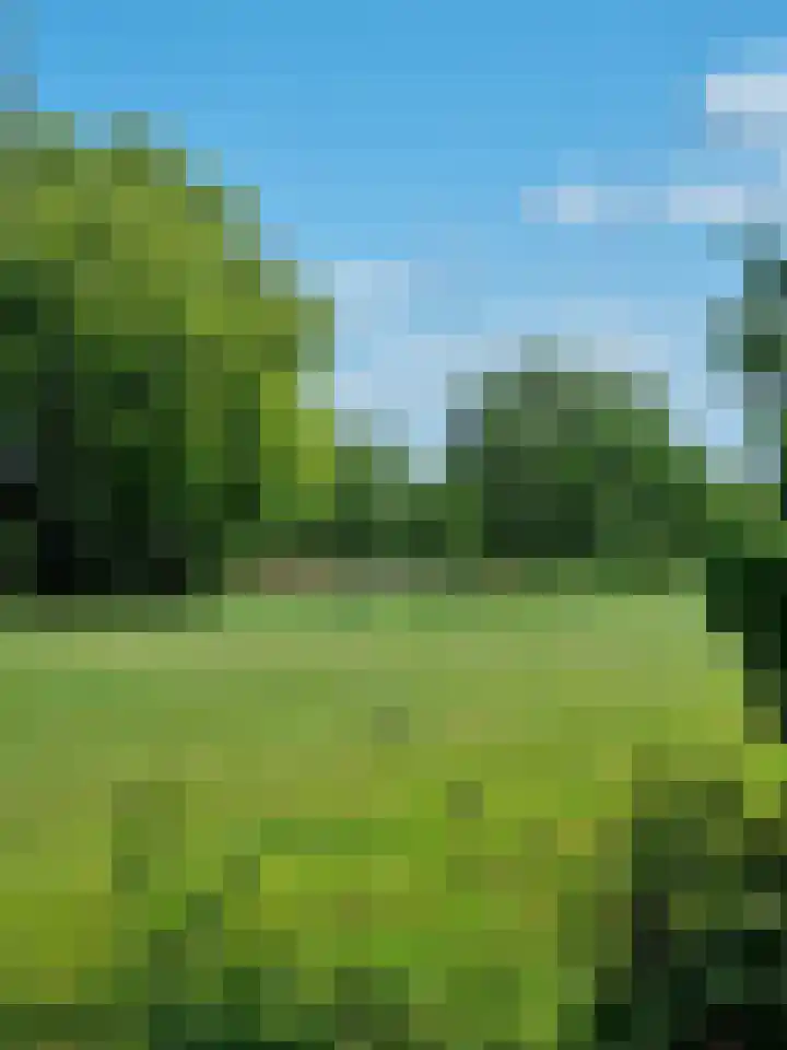 Kortland 2 A Lopikerkapel thumbnail 57
