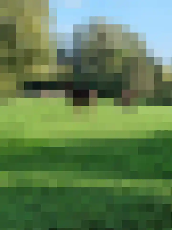 Kortland 2 A Lopikerkapel thumbnail 61