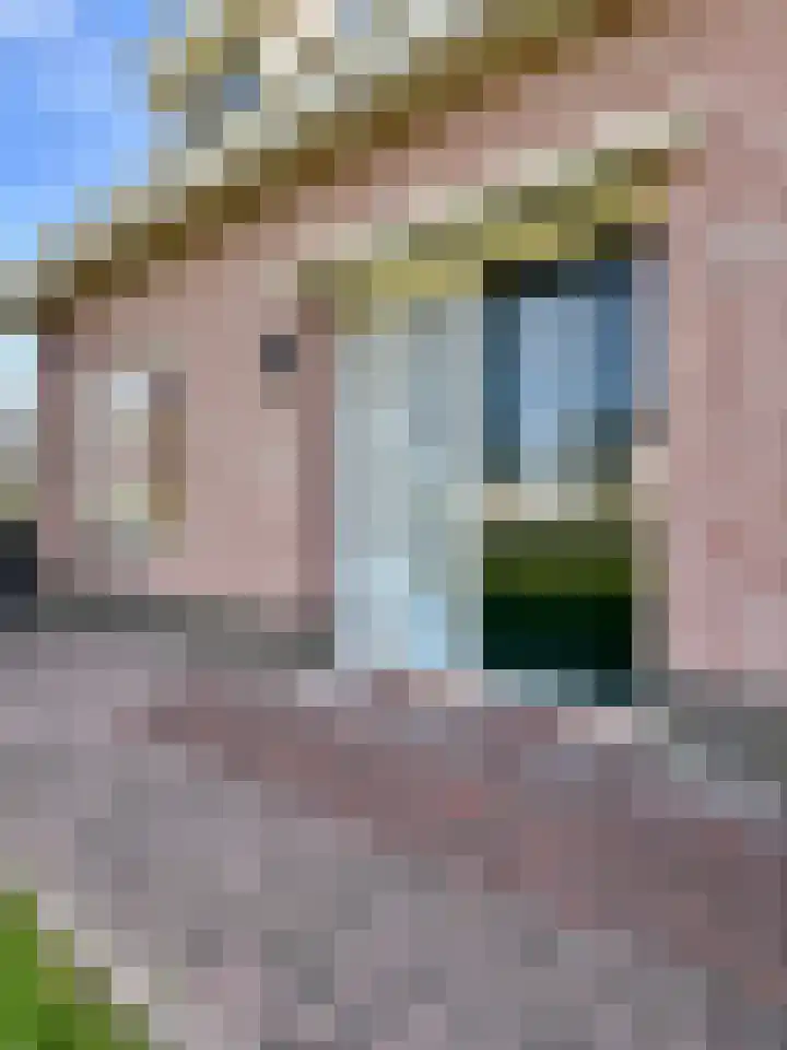 Kortland 2 A Lopikerkapel thumbnail 62