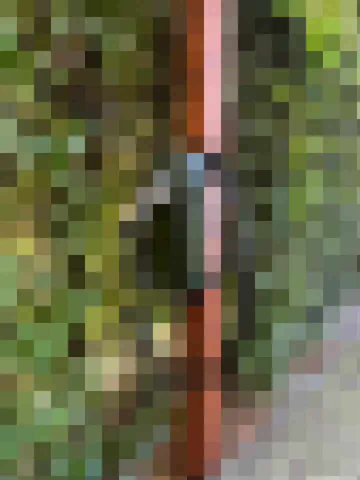 Kortland 2 A Lopikerkapel thumbnail 65