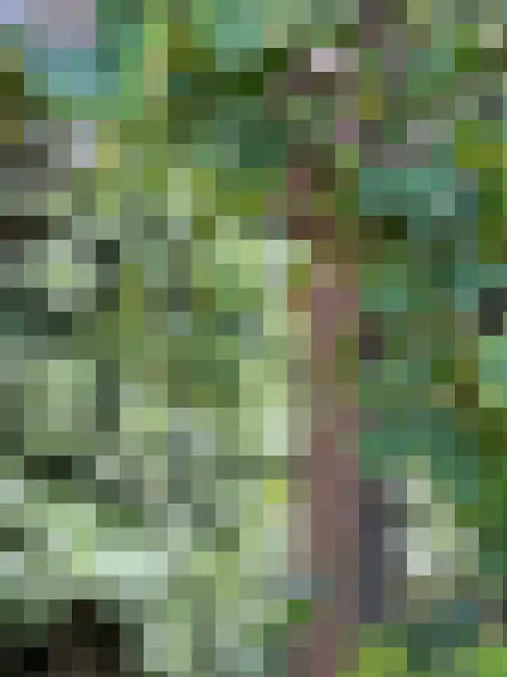 Kortland 2 A Lopikerkapel thumbnail 66