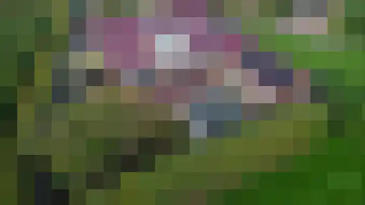Kortland 2 A Lopikerkapel thumbnail 68