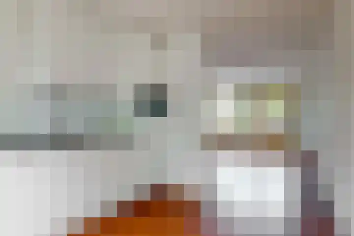 Kortland 2 Vleuten thumbnail 10
