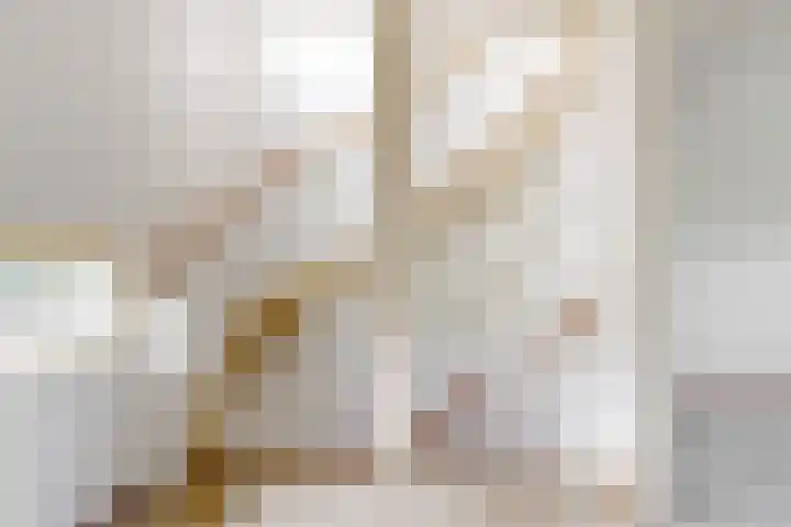 Kortland 2 Vleuten thumbnail 14