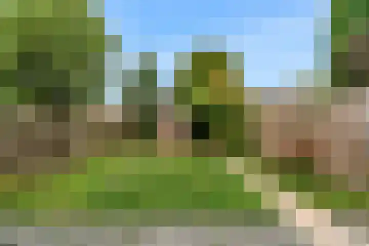Kortland 2 Vleuten thumbnail 22