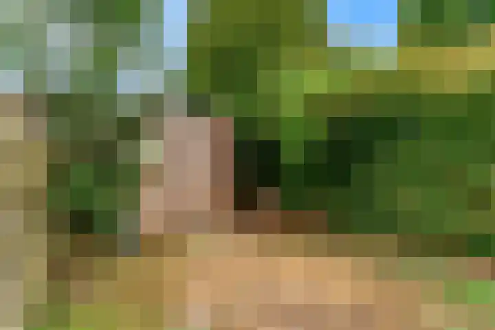 Kortland 2 Vleuten thumbnail 23