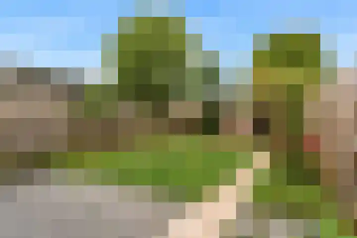 Kortland 2 Vleuten thumbnail 24
