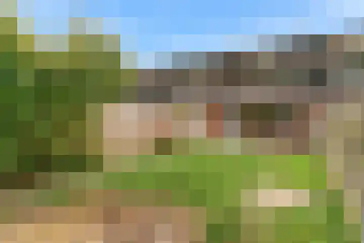 Kortland 2 Vleuten thumbnail 26
