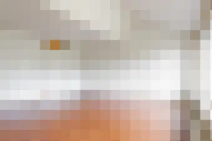Kortland 2 Vleuten thumbnail 7
