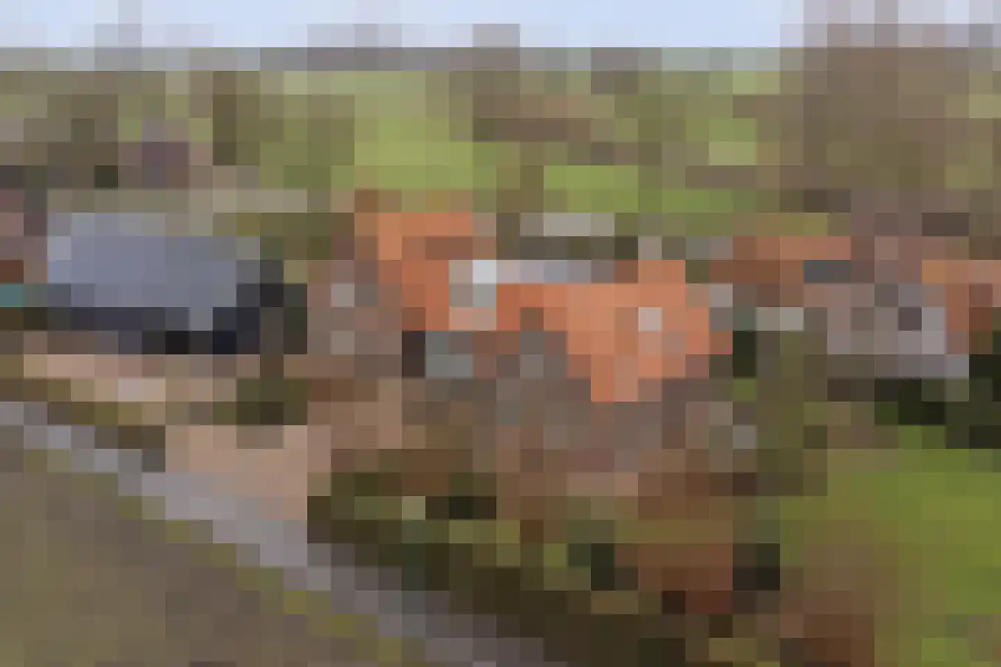 Kortland 3 A Lopikerkapel
