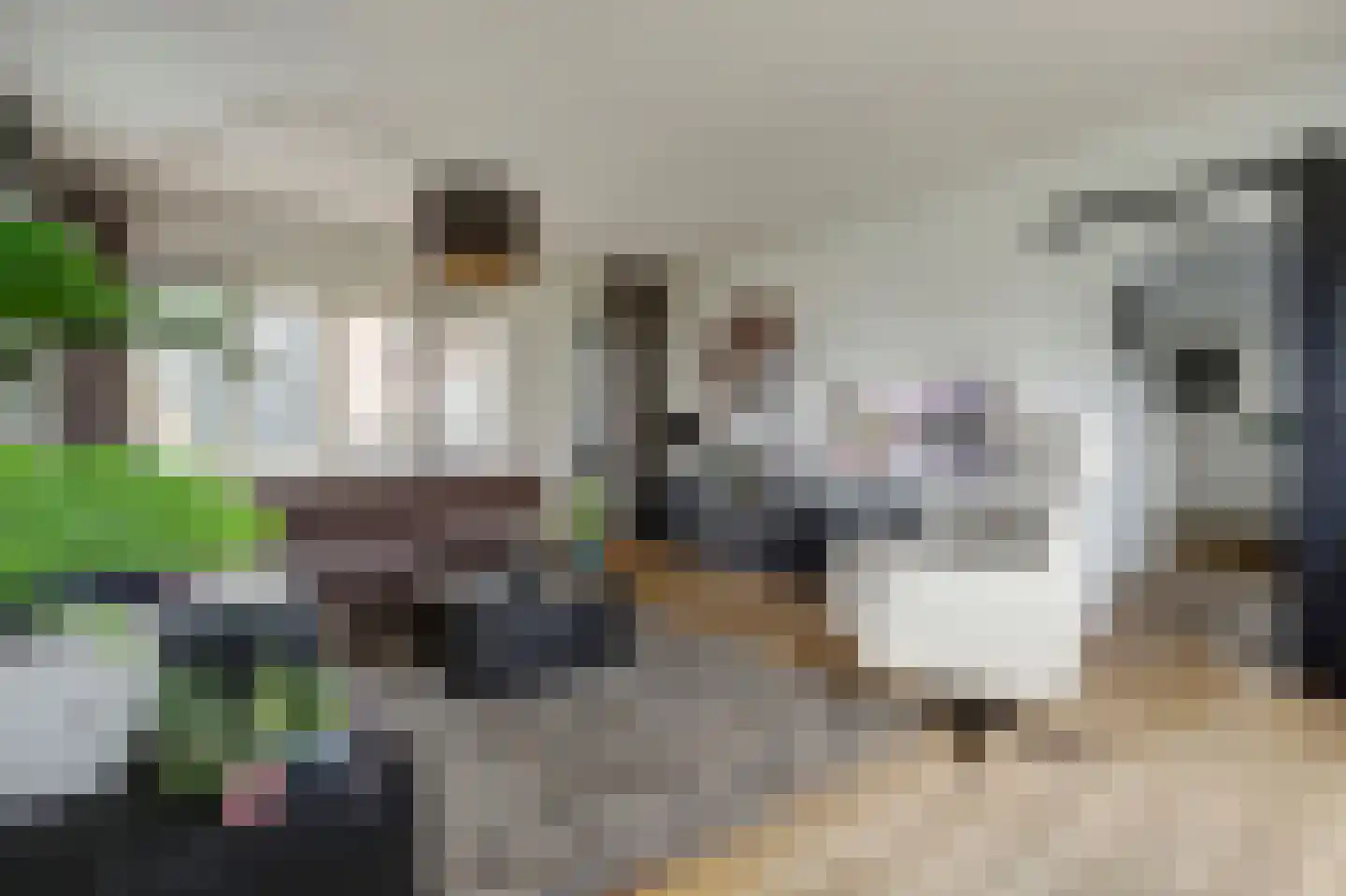 Kortland 3 A Lopikerkapel thumbnail 13