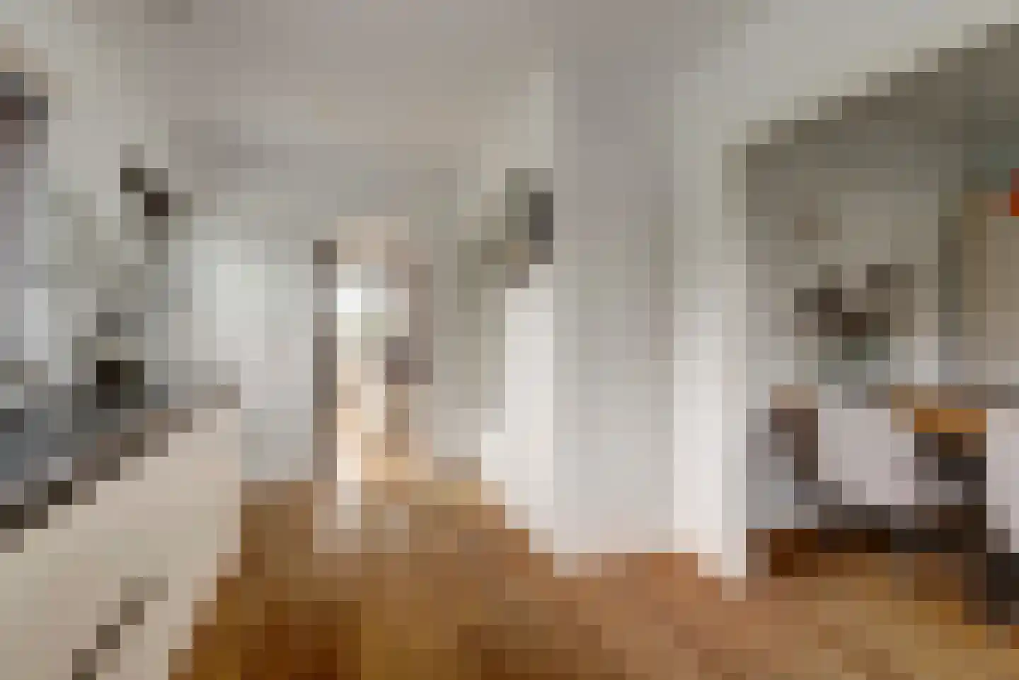 Kortland 3 A Lopikerkapel thumbnail 17
