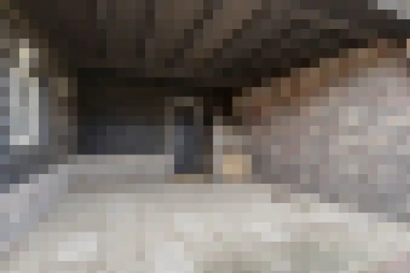 Kortland 3 A Lopikerkapel thumbnail 56