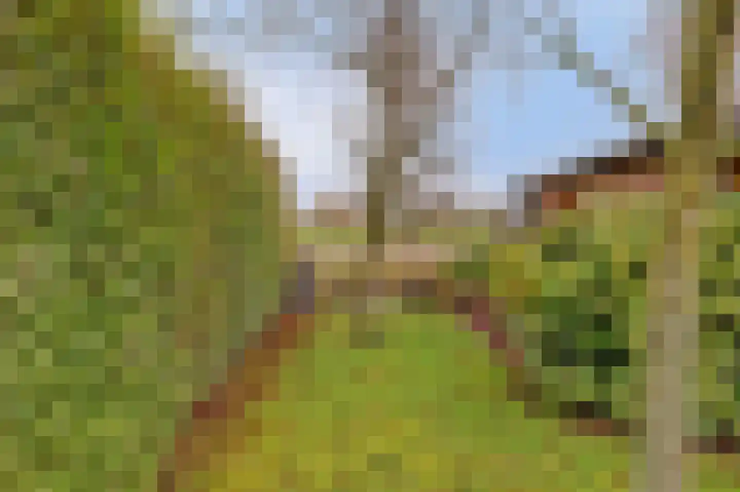 Kortland 3 A Lopikerkapel thumbnail 66