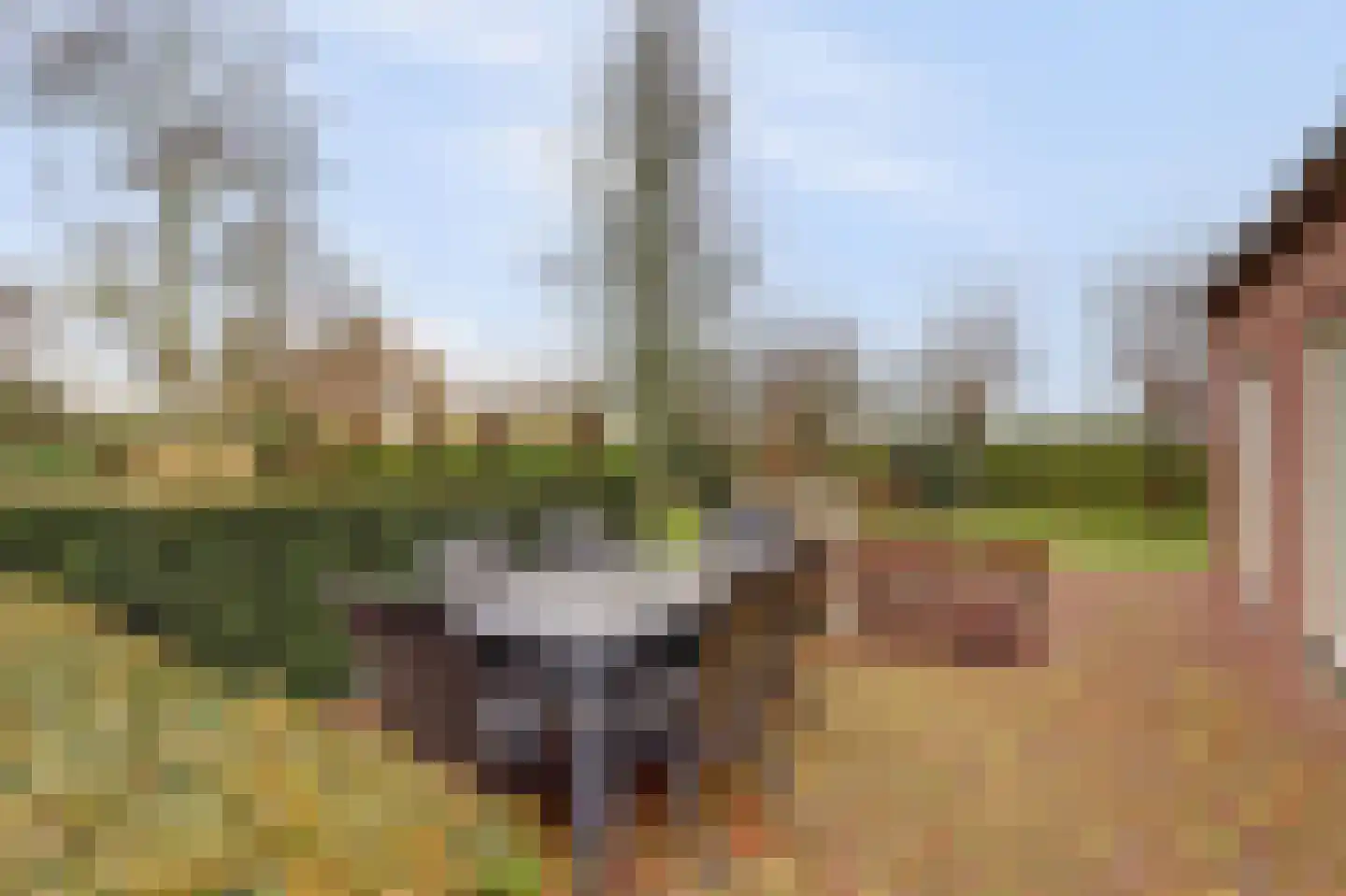 Kortland 3 A Lopikerkapel thumbnail 67