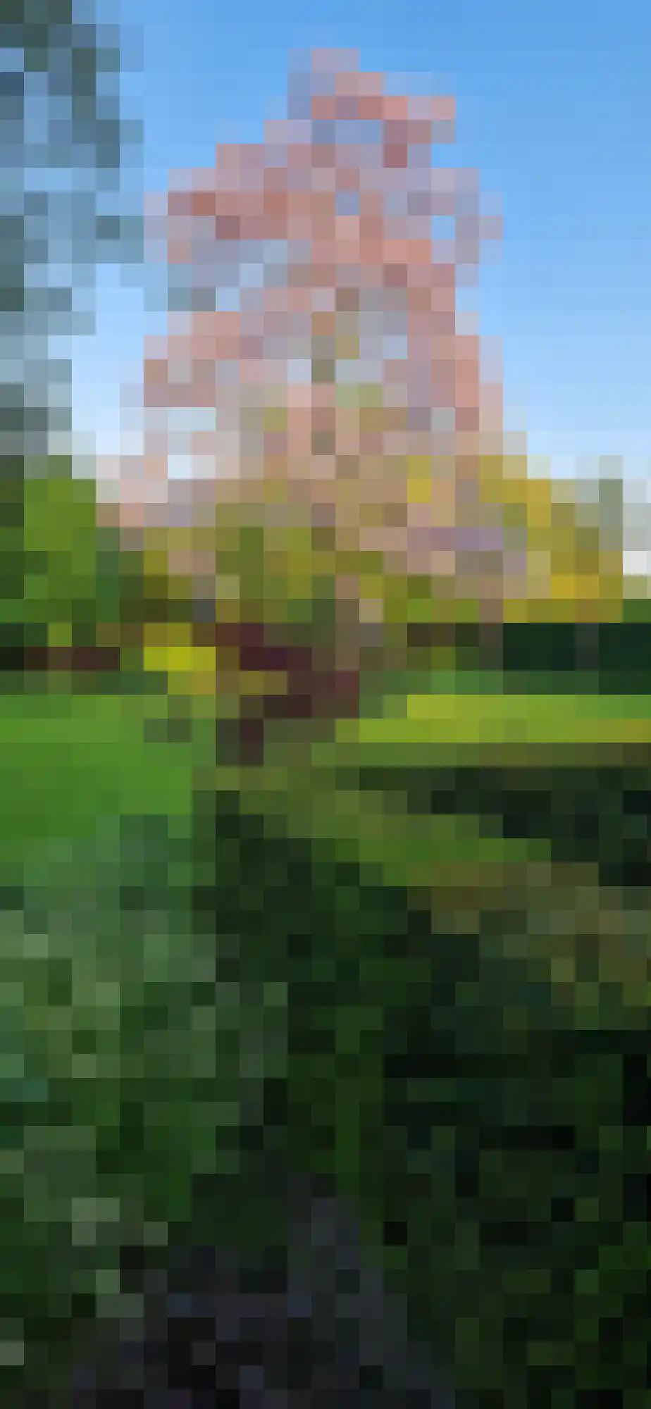Kortland 3 A Lopikerkapel thumbnail 74