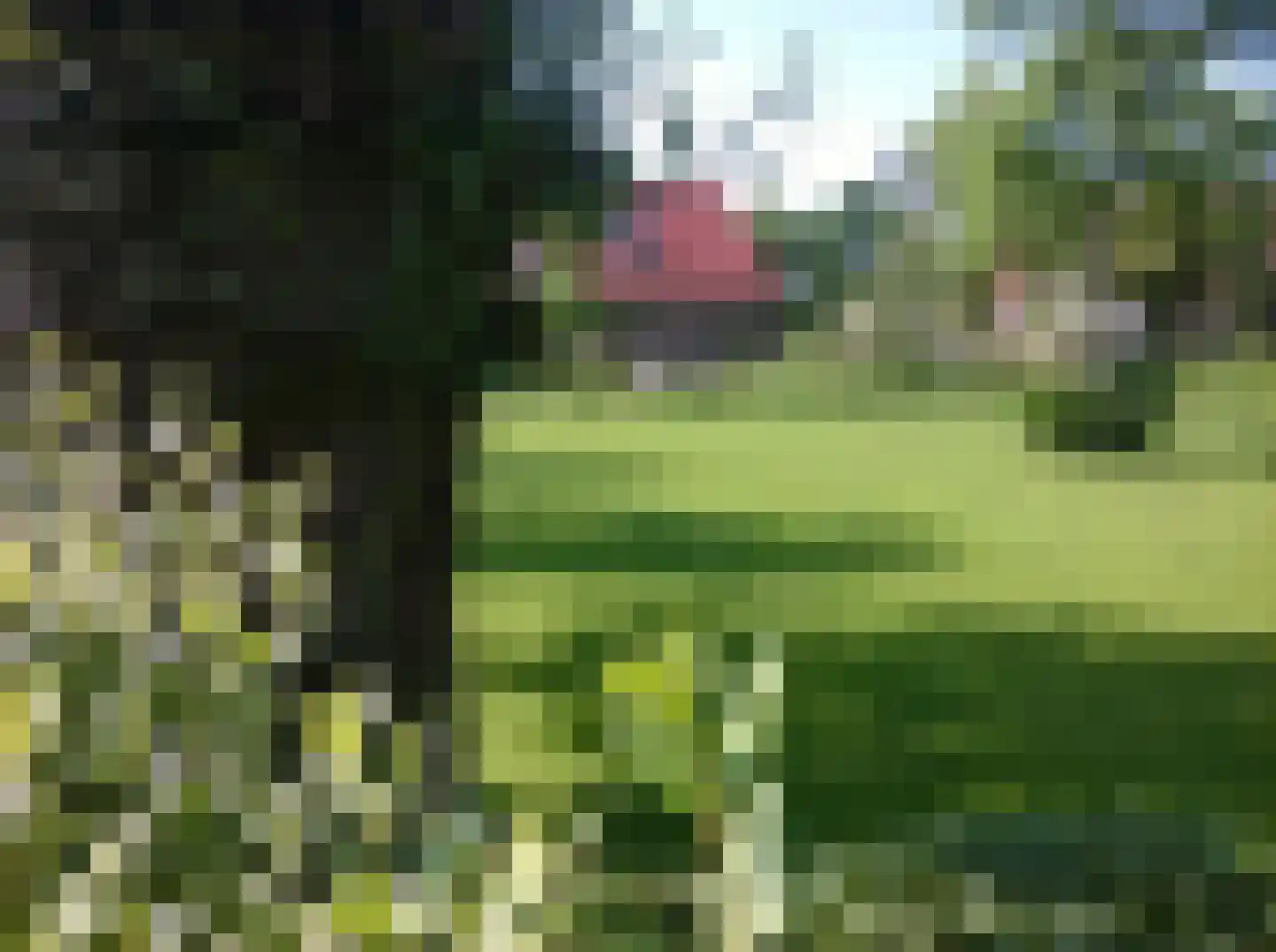 Kortland 3 A Lopikerkapel thumbnail 75