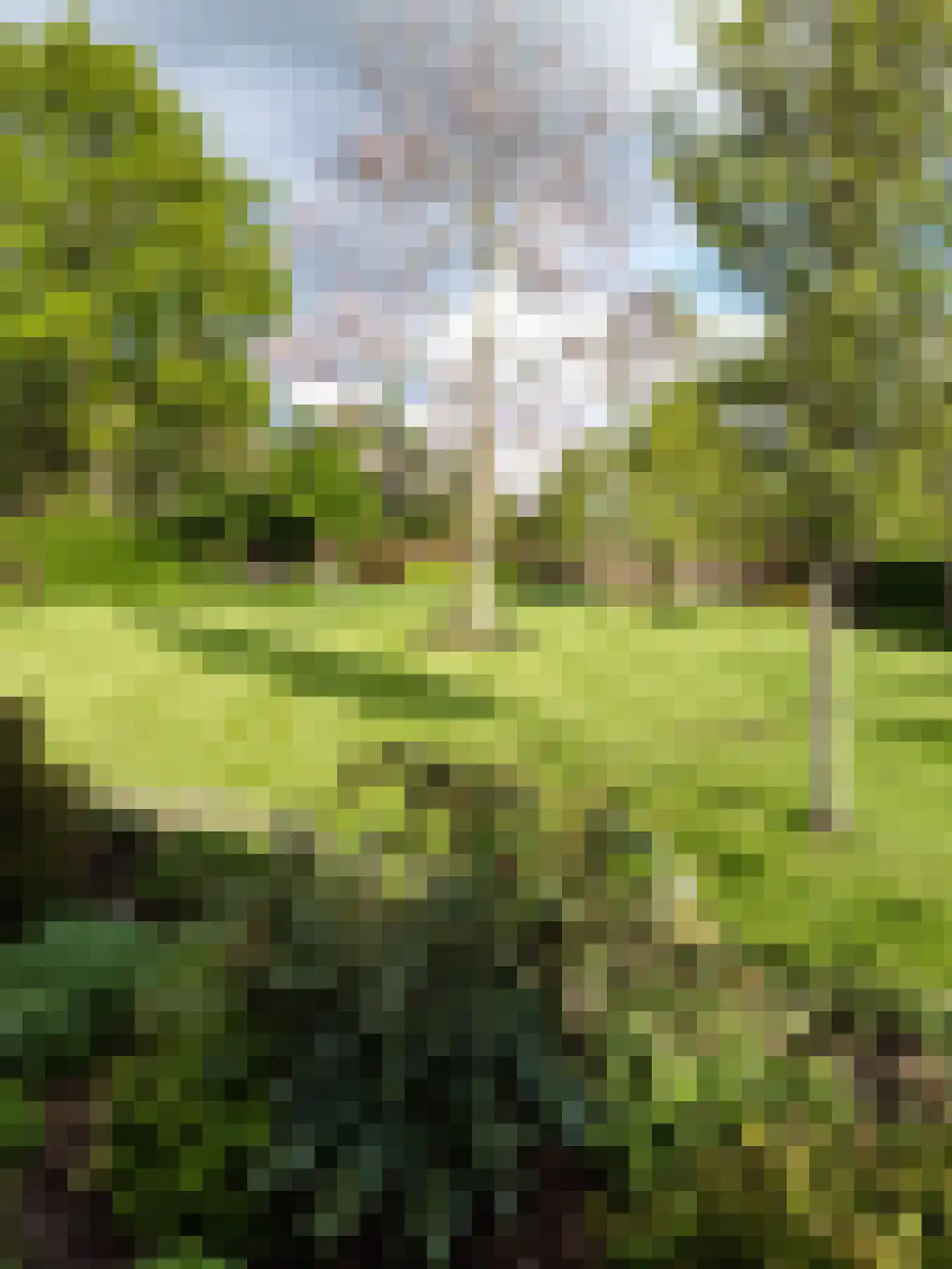 Kortland 3 A Lopikerkapel thumbnail 77