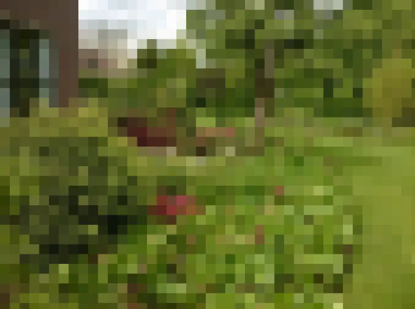 Kortland 3 A Lopikerkapel thumbnail 78