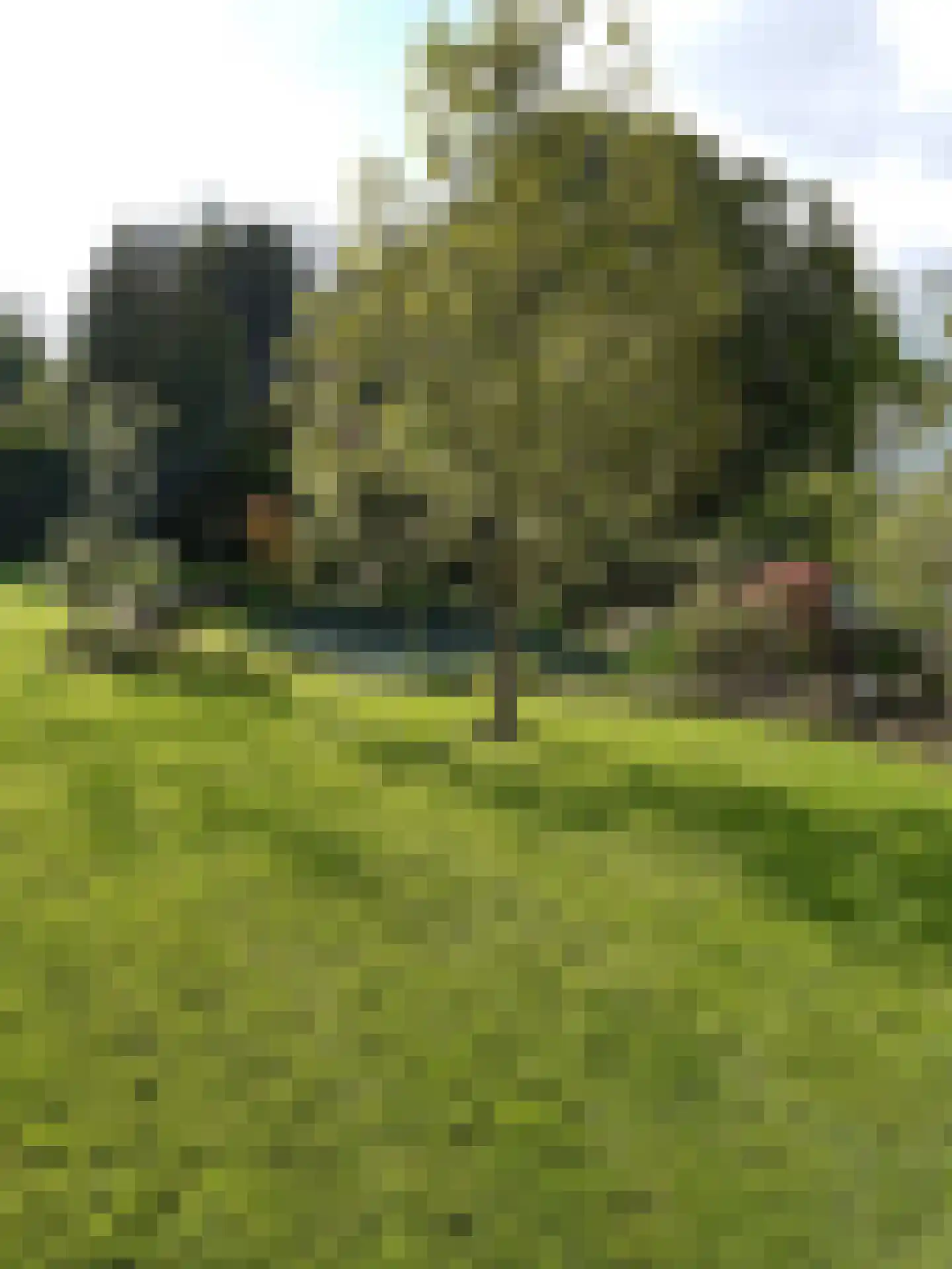 Kortland 3 A Lopikerkapel thumbnail 79