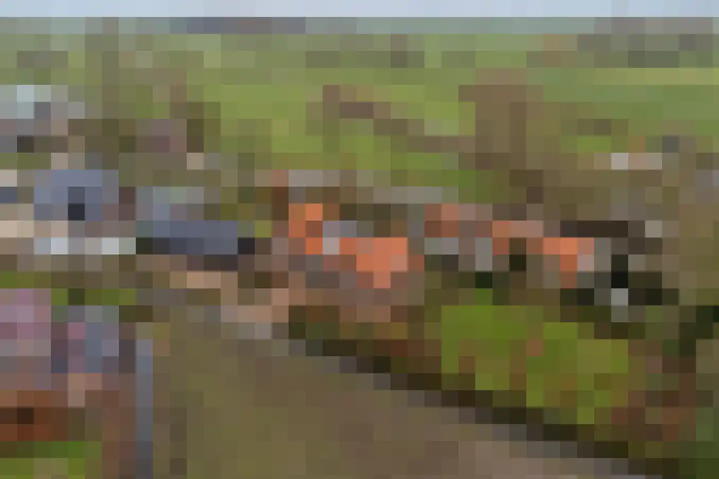 Kortland 3 A Lopikerkapel thumbnail 82