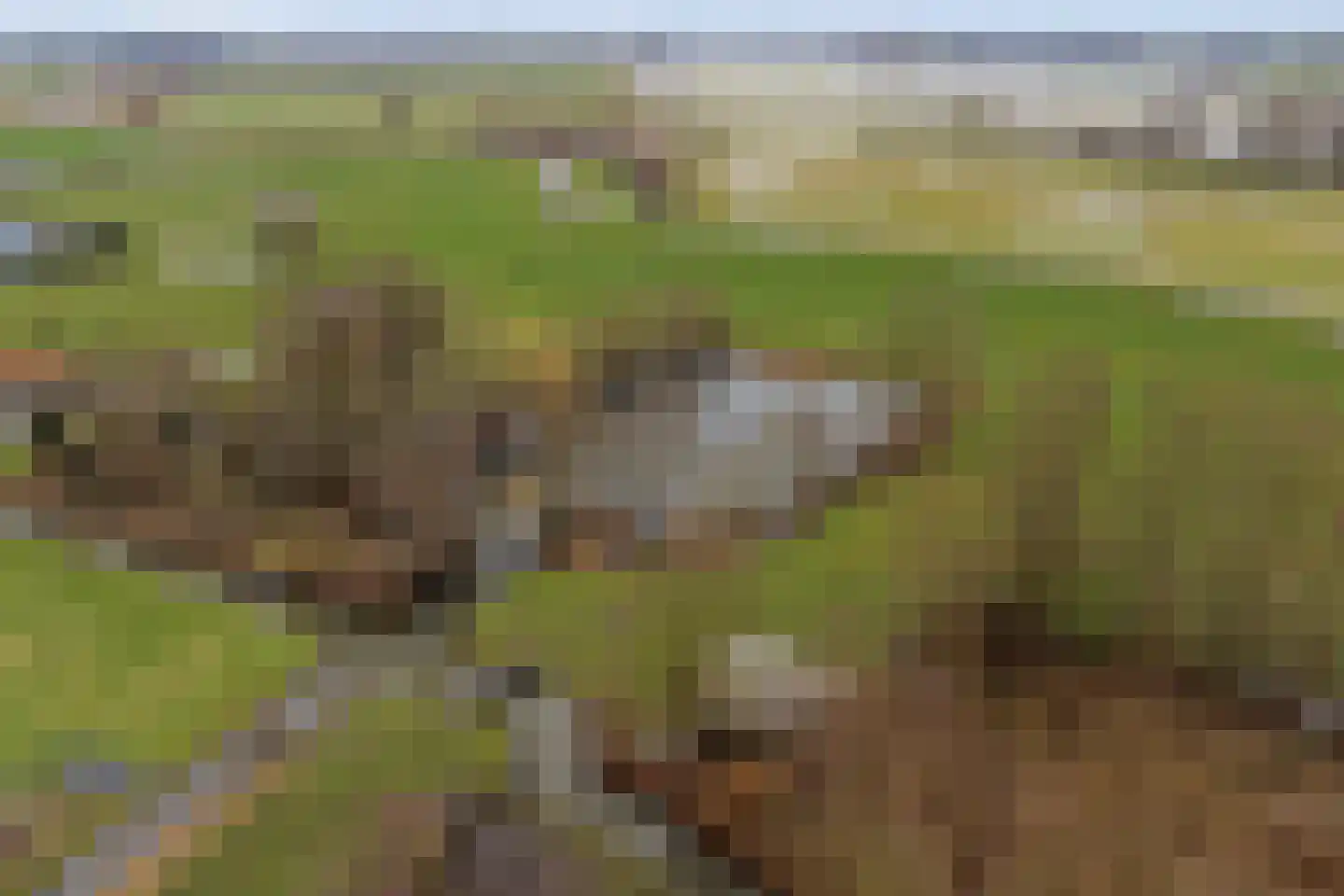 Kortland 3 A Lopikerkapel thumbnail 85