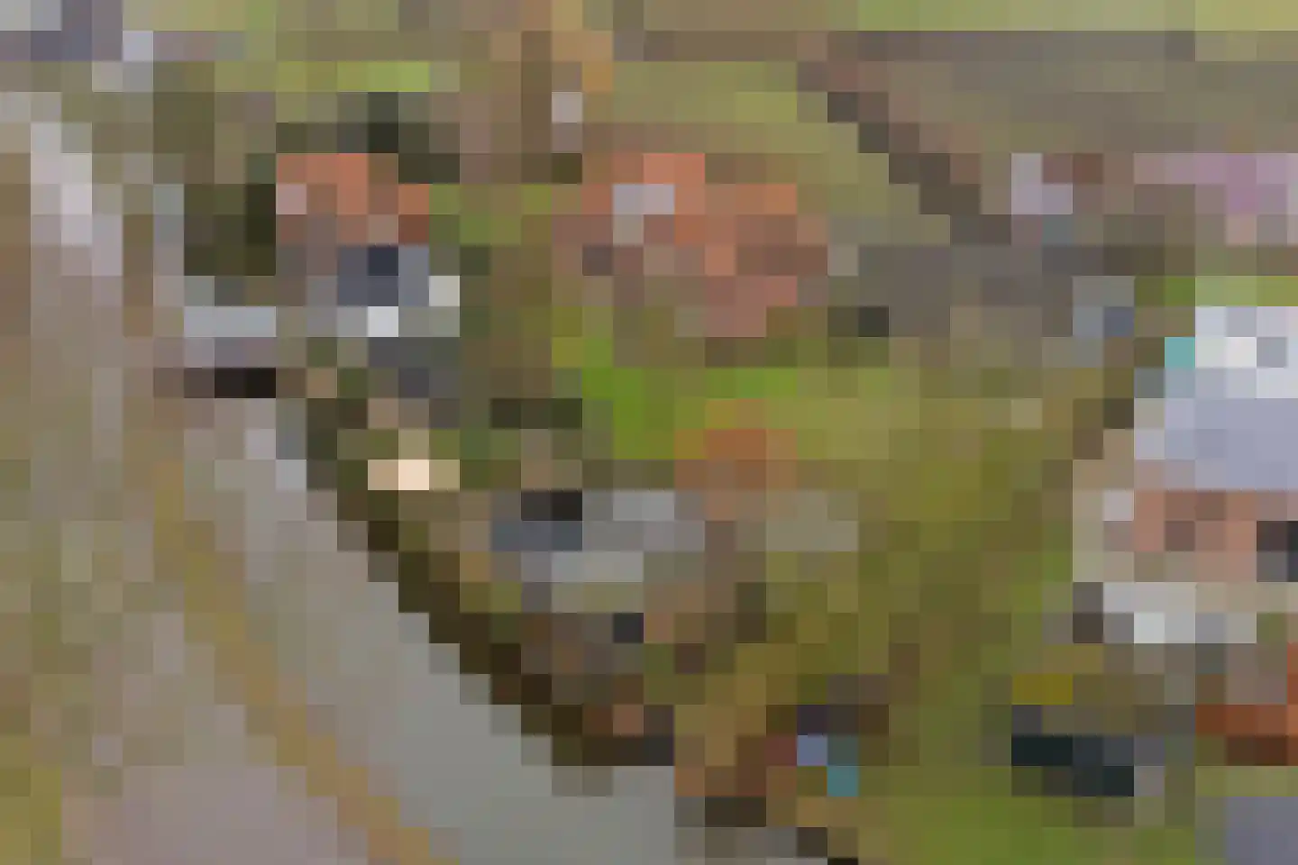 Kortland 3 A Lopikerkapel thumbnail 87