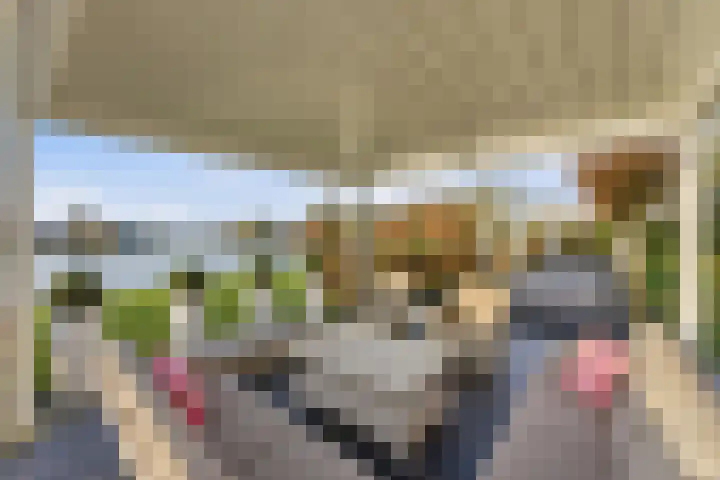 Kortland 47 Alblasserdam thumbnail 5
