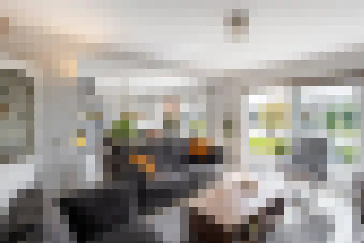 Kortland 5 a Alblasserdam thumbnail 14