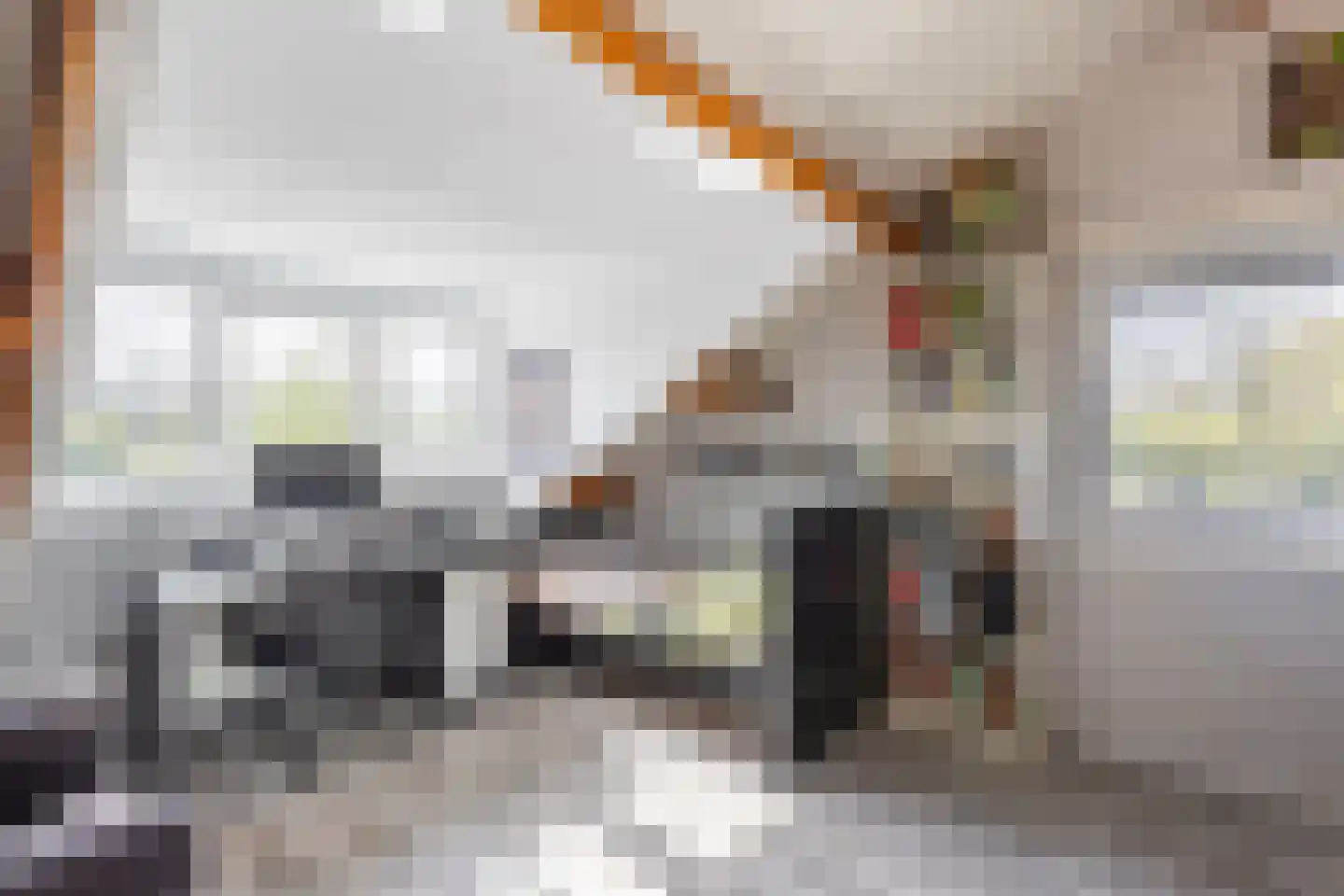 Kortland 5 a Alblasserdam thumbnail 30