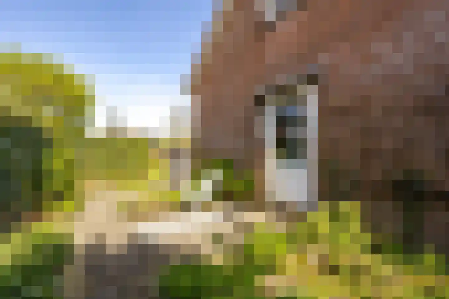 Kortland 5 a Alblasserdam thumbnail 46