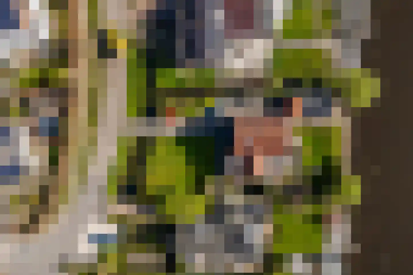 Kortland 5 a Alblasserdam thumbnail 50