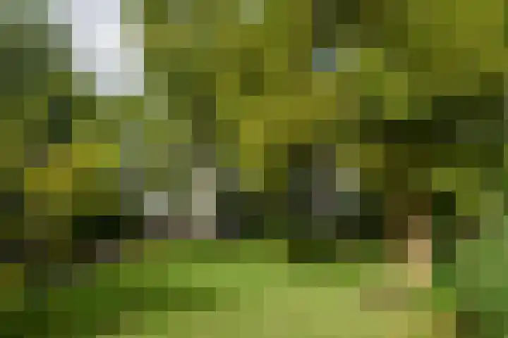 Kortland 57 a Alblasserdam thumbnail 10