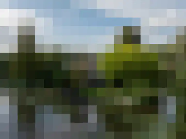 Kortland 57 a Alblasserdam thumbnail 14