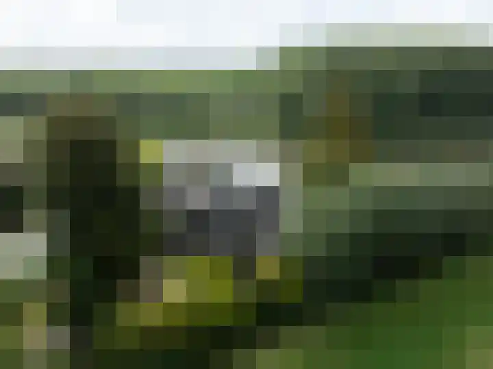 Kortland 57 a Alblasserdam thumbnail 15