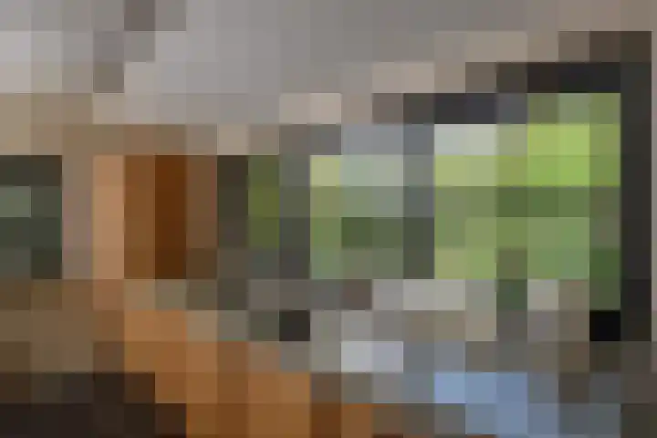 Kortland 57 a Alblasserdam thumbnail 35