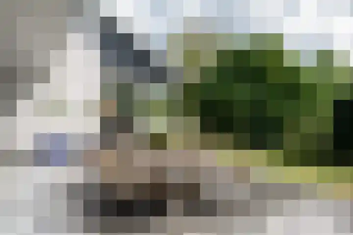 Kortland 57 a Alblasserdam thumbnail 4