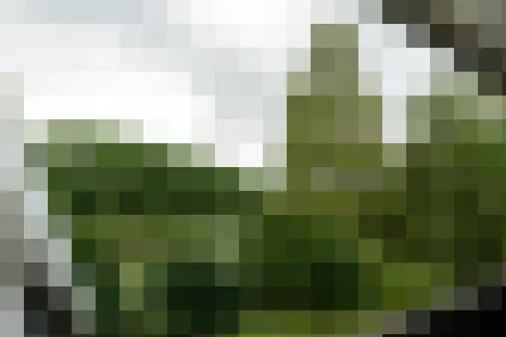Kortland 57 a Alblasserdam thumbnail 47