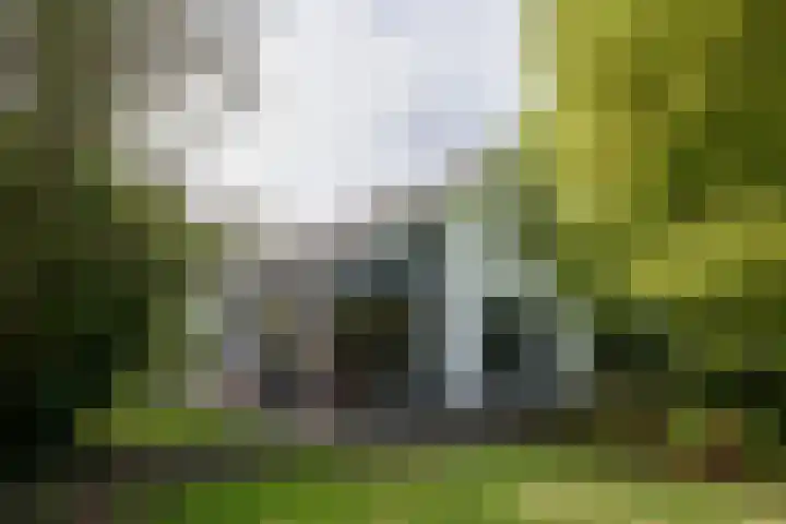 Kortland 57 a Alblasserdam thumbnail 5