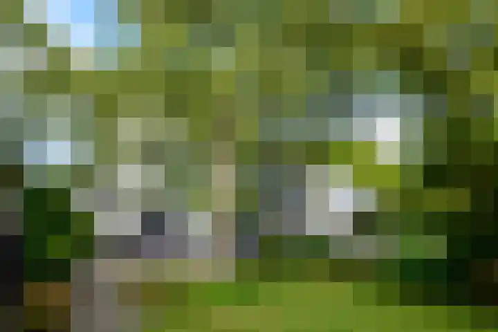 Kortland 57 a Alblasserdam thumbnail 6