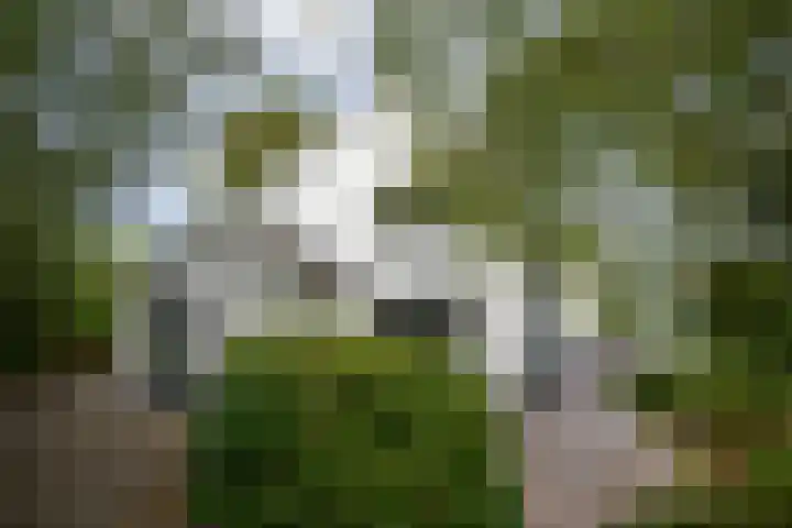 Kortland 57 a Alblasserdam thumbnail 7