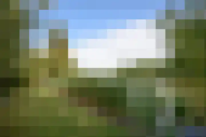 Kortland 57 a Alblasserdam thumbnail 8