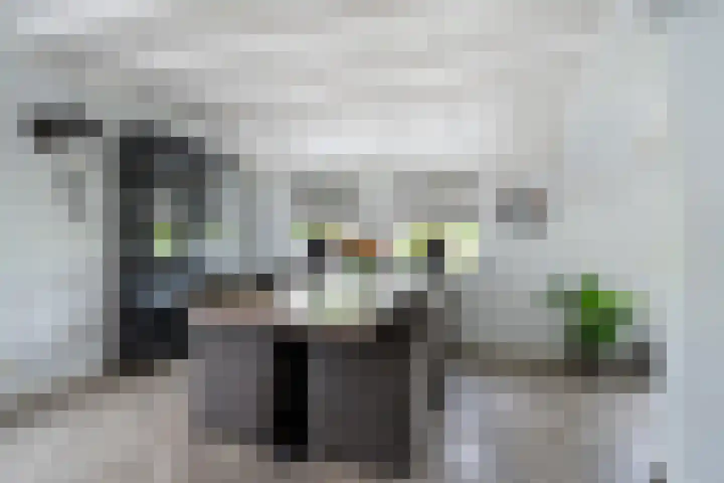 Kortland 8 Lopikerkapel thumbnail 17