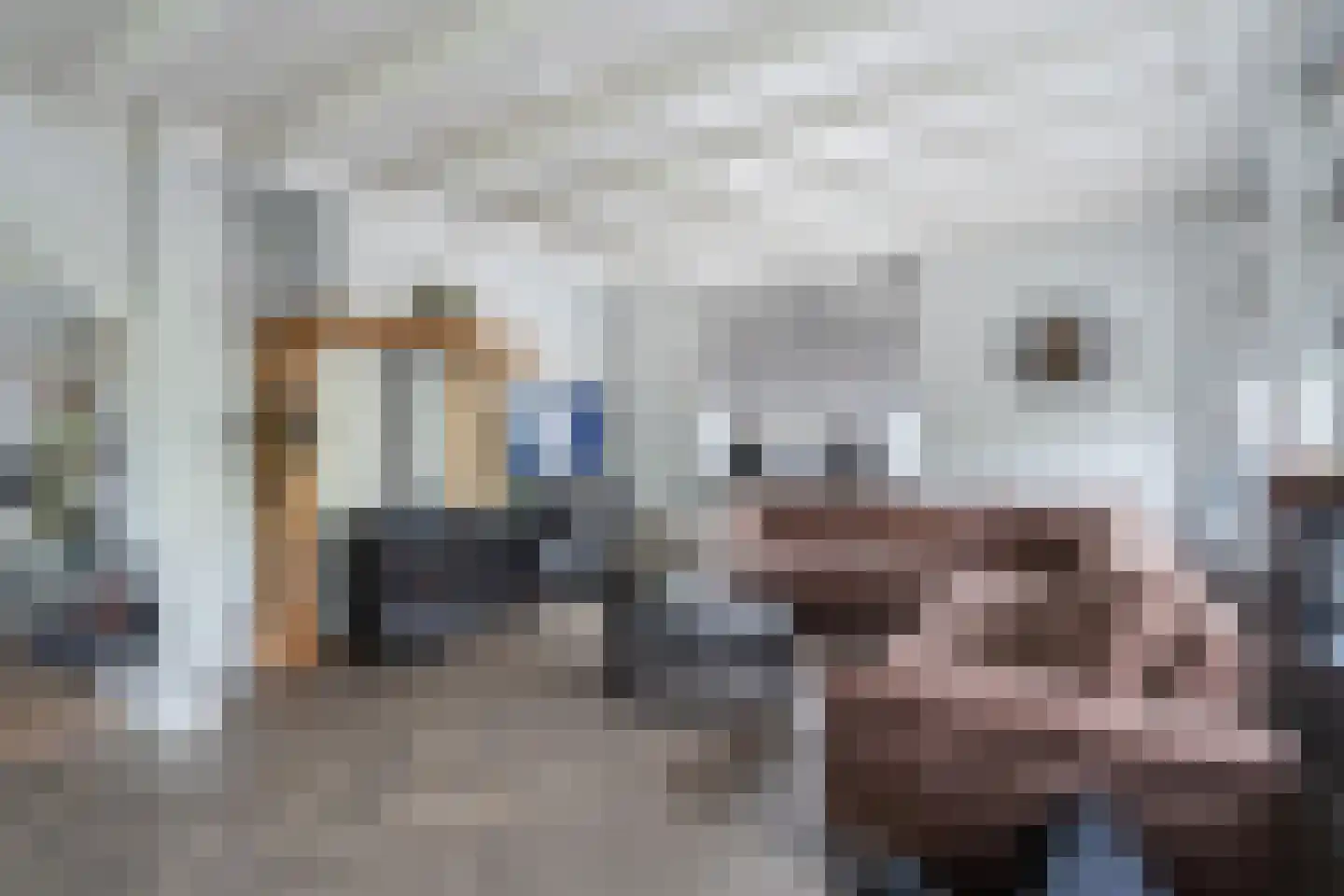 Kortland 8 Lopikerkapel thumbnail 19