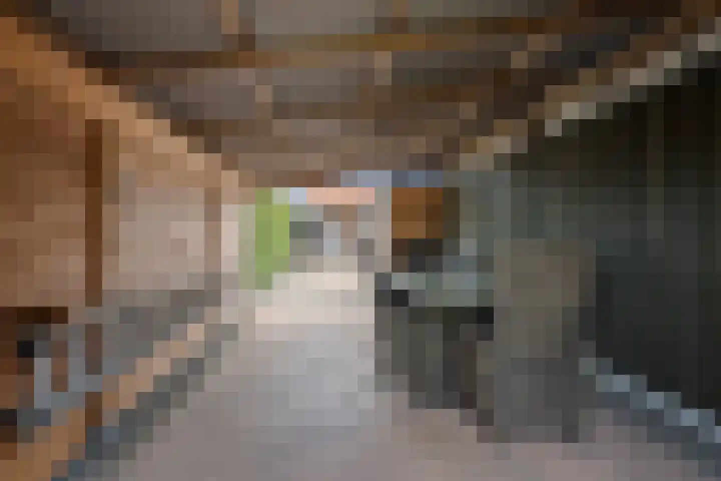 Kortland 8 Lopikerkapel thumbnail 64