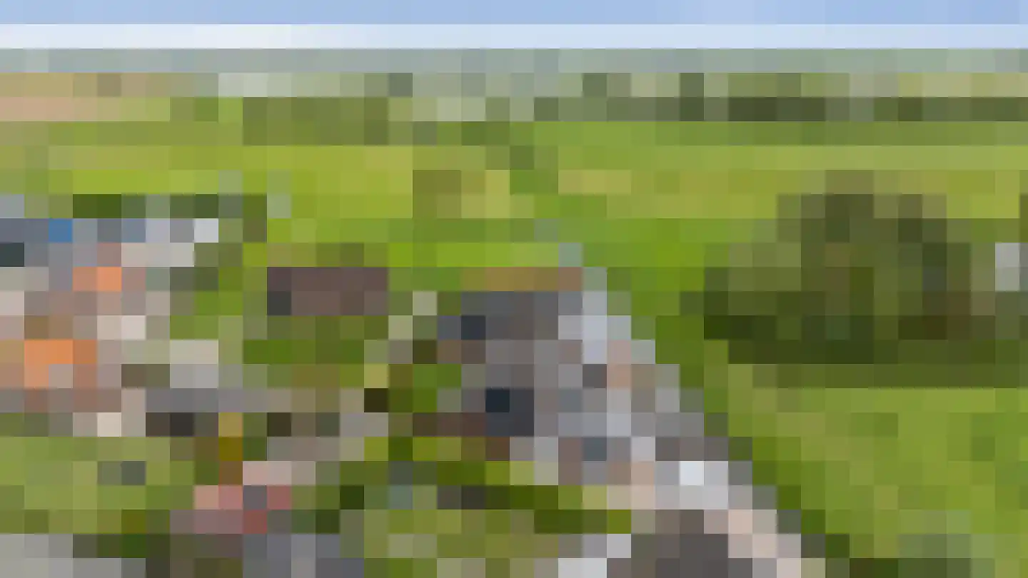 Kortland 8 Lopikerkapel thumbnail 79