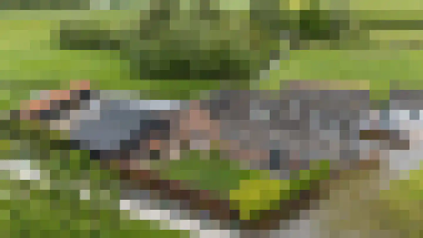 Kortland 8 Lopikerkapel thumbnail 8