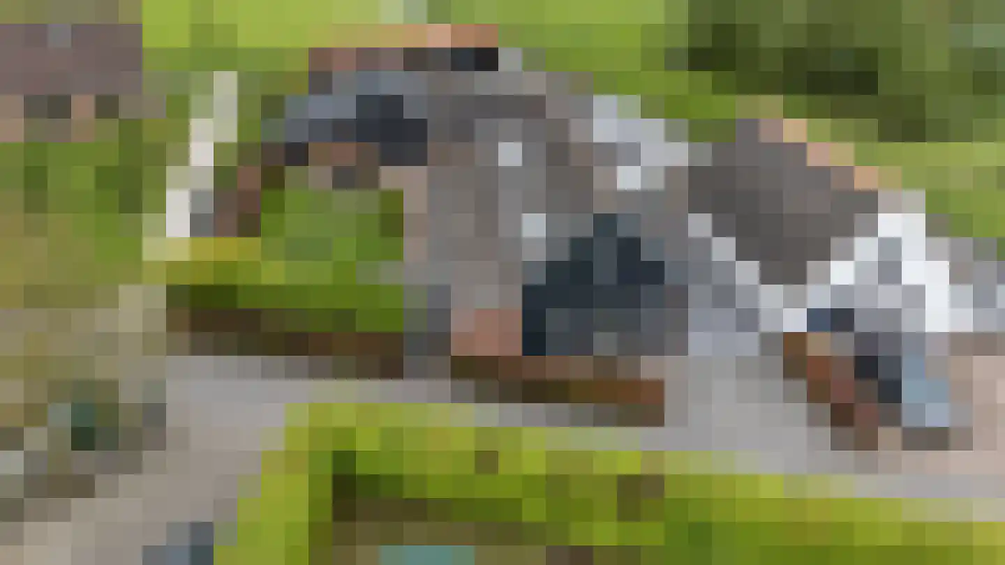 Kortland 8 Lopikerkapel thumbnail 9