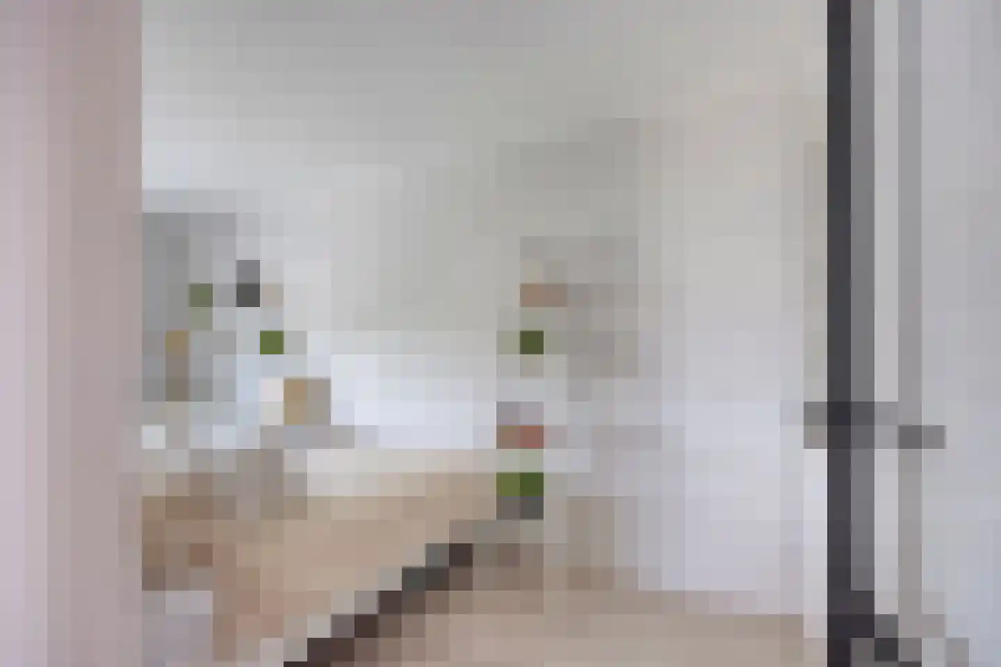 Kortlandpad 27 Zoetermeer thumbnail 17